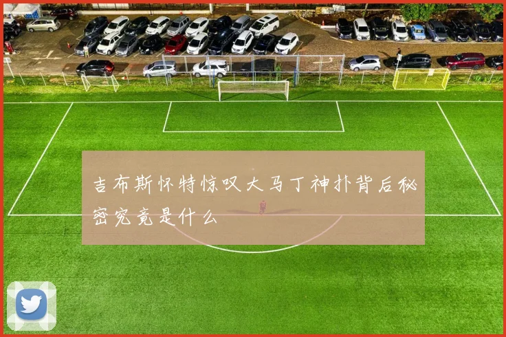 吉布斯怀特惊叹大马丁神扑背后秘密究竟是什么